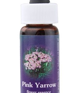 Flower Essence Pink Yarrow Dropper -- 0.25 fl oz