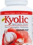 Comprar kyolic aged garlic extract™ immune formula 103 -- 100 capsules preço no brasil suplementos suplemento importado loja 1 online promoção - 26 de abril de 2024