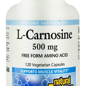 Comprar natural factors l-carnosine -- 500 mg - 120 vegetarian capsules preço no brasil aminoácidos suplemento importado loja 29 online promoção - 16 de abril de 2024