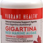 Comprar vibrant health gigartina red marine algae -- 120 vegetarian capsules preço no brasil algas suplemento importado loja 5 online promoção - 14 de abril de 2024