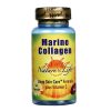 Comprar nature's life colágeno marinho 60 cápsulas preço no brasil colágeno suplemento importado loja 3 online promoção - 13 de abril de 2024
