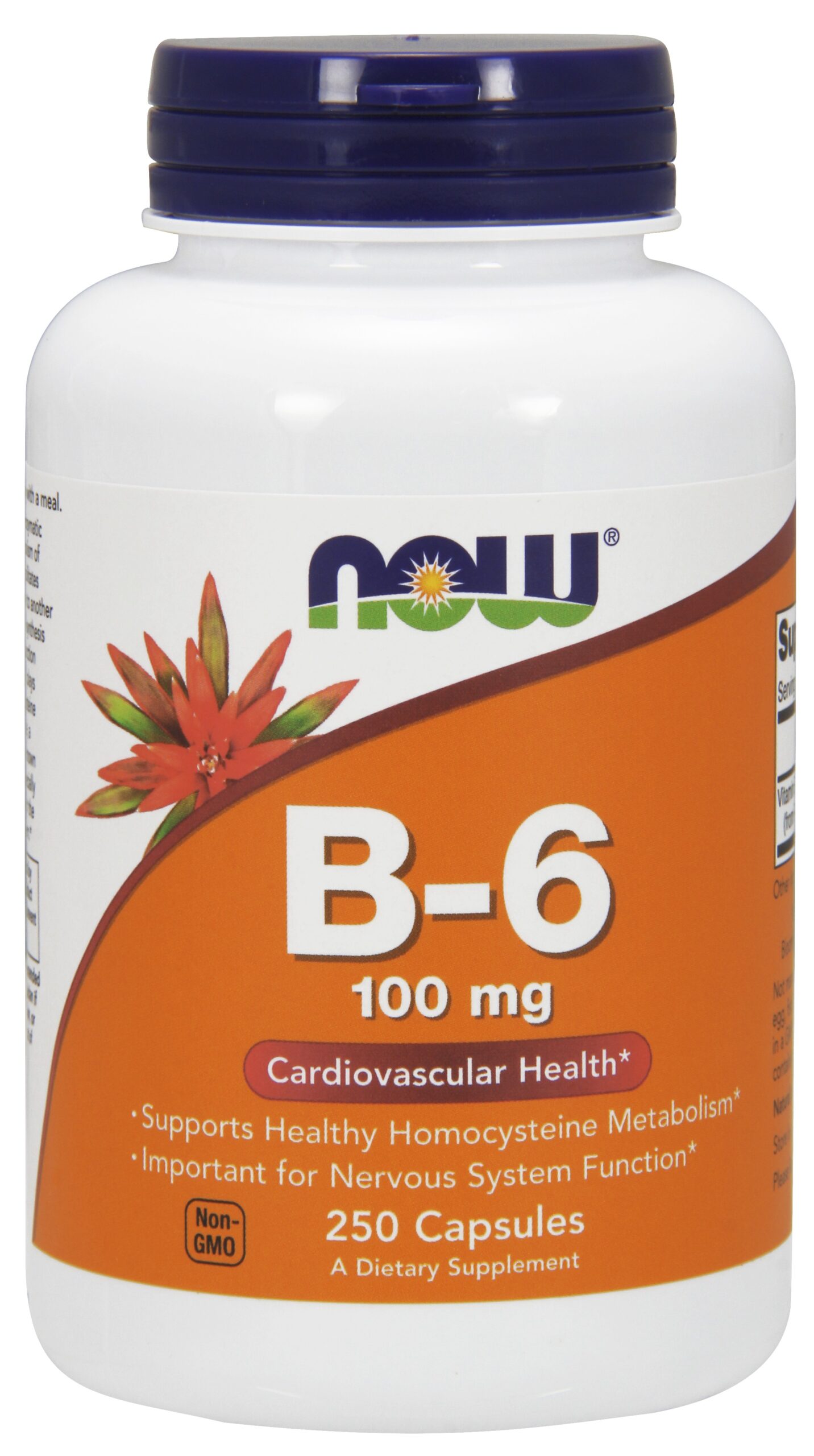NOW Foods Vitamin B-6 100mg - 250 Capsules