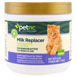 21st Century, Cuidado Natural para os Animais, Substituinte de Leite para Felinos, 6 oz (170 g)