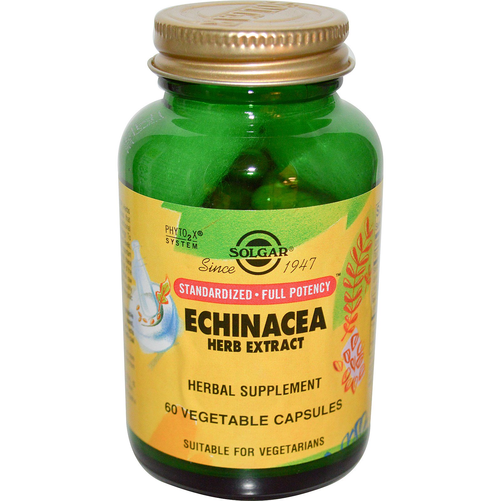 Solgar, Extrato Herbal de Echinacea, 60 Cápsulas Vegetais