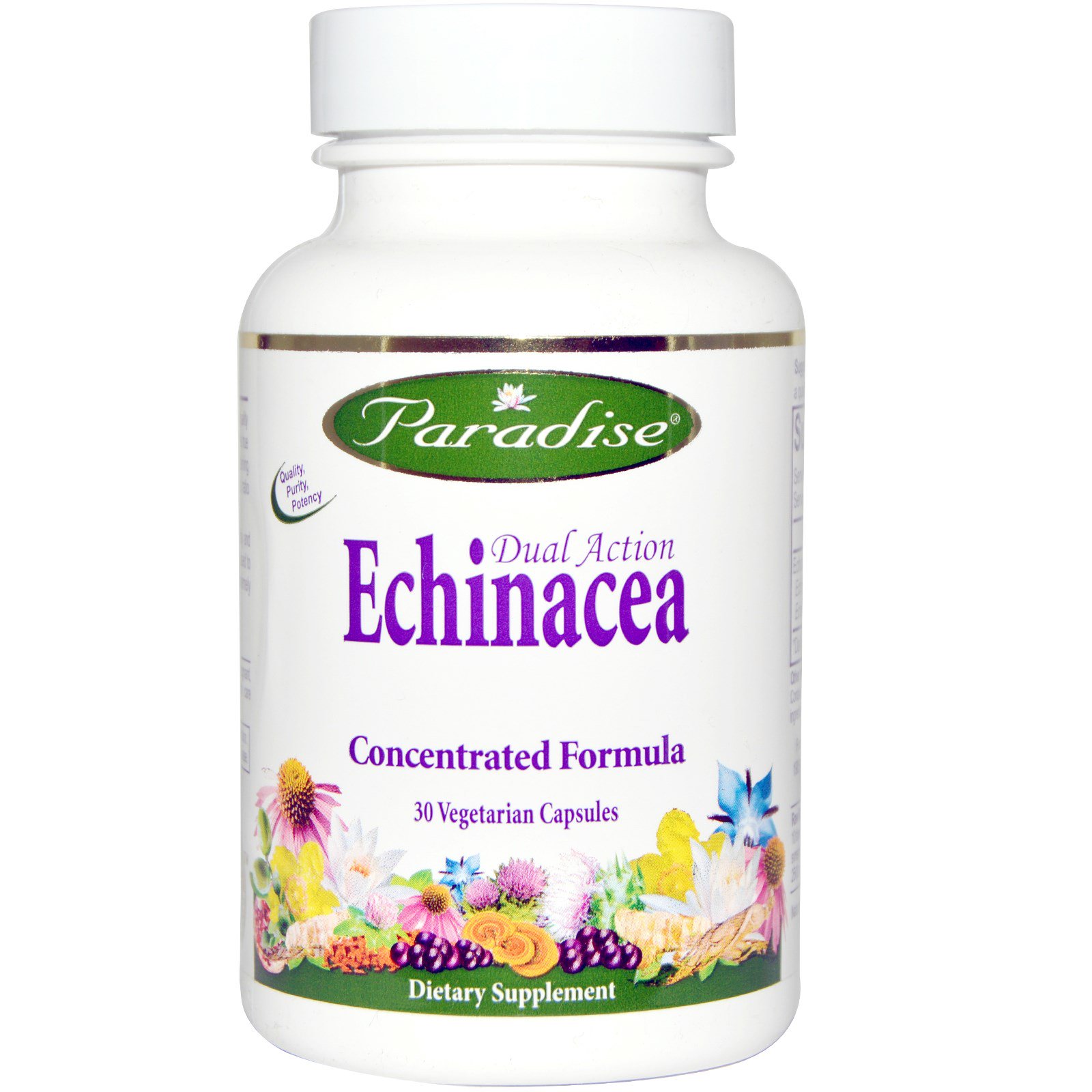 Paradise Herbs, Equinacea de Ação Dupla, 30 Comprimidos Vegetarianos