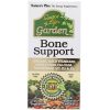 Comprar nature's plus source of life garden bone support - 120 cápsulas vegetarianas preço no brasil fórmulas ósseas suplemento importado loja 1 online promoção - 8 de abril de 2024