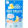 Comprar little duck orgânicos tiny fruits, blueberry & banana - pack of 6 -. 75 oz bags preço no brasil mirtilo suplemento importado loja 9 online promoção - 27 de março de 2024