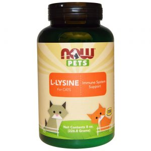 Comprar now foods l-lysine for gatos - 8 oz preço no brasil cuidados para animais suplemento importado loja 65 online promoção - 13 de abril de 2024