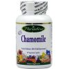 Comprar paradise ervas chamomile 250 mg - 60 cápsulas vegetarianas preço no brasil creatina suplemento importado loja 1 online promoção - 27 de setembro de 2022