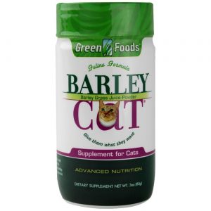 Comprar green foods gato cevada 3 oz preço no brasil cuidados para animais suplemento importado loja 13 online promoção - 4 de fevereiro de 2023