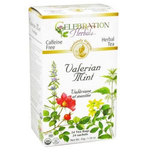 Comprar celebration ervaals valerian mint chá orgânico 24 sacos preço no brasil creatina suplemento importado loja 7 online promoção - 28 de março de 2024