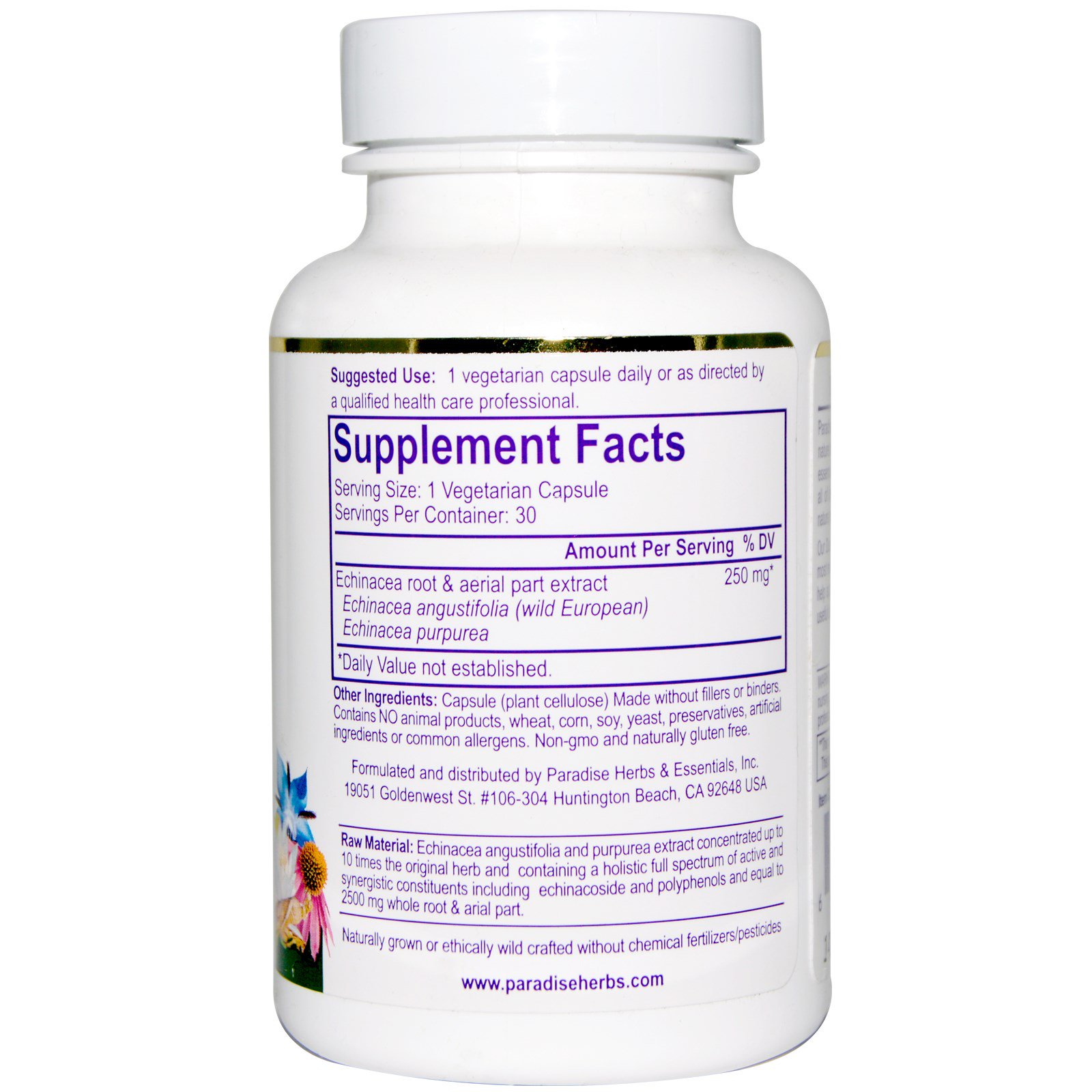 Paradise Herbs, Equinacea de Ação Dupla, 30 Comprimidos Vegetarianos - Imagem 2