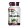 Comprar solaray ginkgo biloba 60 mg 60 cápsulas vegetarianas preço no brasil ginkgo biloba suplemento importado loja 3 online promoção - 8 de maio de 2024