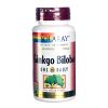 Comprar solaray uma ginkgo biloba diário de 120 mg 60 cápsulas preço no brasil ginkgo biloba suplemento importado loja 9 online promoção - 6 de abril de 2024
