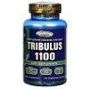 Comprar tribulus 1100 natural sport 120 cápsulas vegetarianas preço no brasil tribulus suplemento importado loja 1 online promoção - 2 de fevereiro de 2023