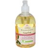 Comprar clearly natural liq hand soap grapefruit 12 onças preço no brasil sabonetes / banho suplemento importado loja 5 online promoção - 16 de abril de 2024
