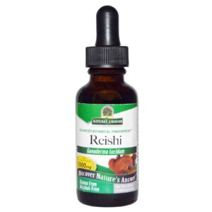 Nature's Answer, Reishi, Sem álcool, 1000 mg, 1 fl oz (30 ml)