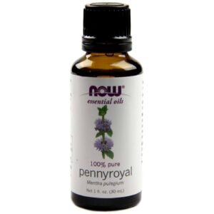 Now Foods Pennyroyal Oil 1 fl oz