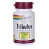 Comprar solaray tribulus extract 450 mg 60 cápsulas preço no brasil tribulus suplemento importado loja 1 online promoção - 2 de fevereiro de 2023
