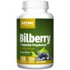 Comprar jarrow formulas, polifenóis de bilberry + pele de uva, 280 mg, 120 cápsulas vegetais preço no brasil antioxidantes suplemento importado loja 1 online promoção - 2 de dezembro de 2022
