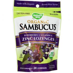 Comprar nature's way orgânico sambucus - 24 lozenges preço no brasil sabugueiro suplemento importado loja 75 online promoção - 10 de agosto de 2022