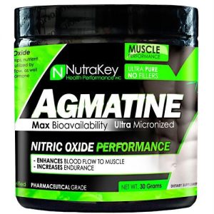 Comprar nutrakey agmatine - 30 grams preço no brasil óxido nítrico suplemento importado loja 41 online promoção - 28 de janeiro de 2023