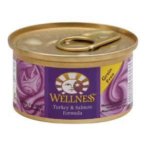 Wellness Pet Products Cat Food - Turkey And Salmon Recipe - Case Of 24 - 3 Oz.