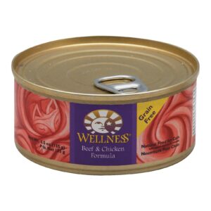 Wellness Pet Products Cat Food - Beef And Chicken - Case Of 24 - 5.5 Oz.