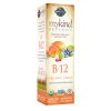 Comprar garden of life mykind orgânicos b12, orgânico - 500 mcg - 2 fl oz spray preço no brasil vitamina b suplemento importado loja 1 online promoção - 13 de agosto de 2022