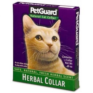 Comprar petguard collar ervaal para gatos 1 collar preço no brasil cuidados para animais suplemento importado loja 17 online promoção - 12 de abril de 2024