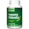 Comprar jarrow formulas yaeyama chlorella - 200 mg - 300 tablets preço no brasil limpeza detox suplemento importado loja 5 online promoção - 27 de setembro de 2022