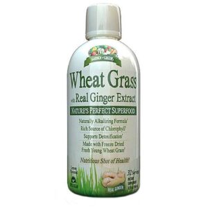 Garden Greens Wheat Grass com Real Gengibre Extract - 32 oz