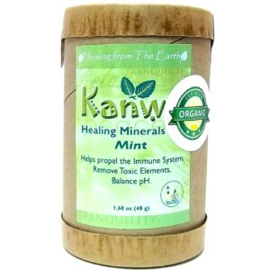 Comprar zion health mineral chá, hortelã - 24 chá bags preço no brasil vitaminas e minerais suplemento importado loja 7 online promoção - 1 de maio de 2024