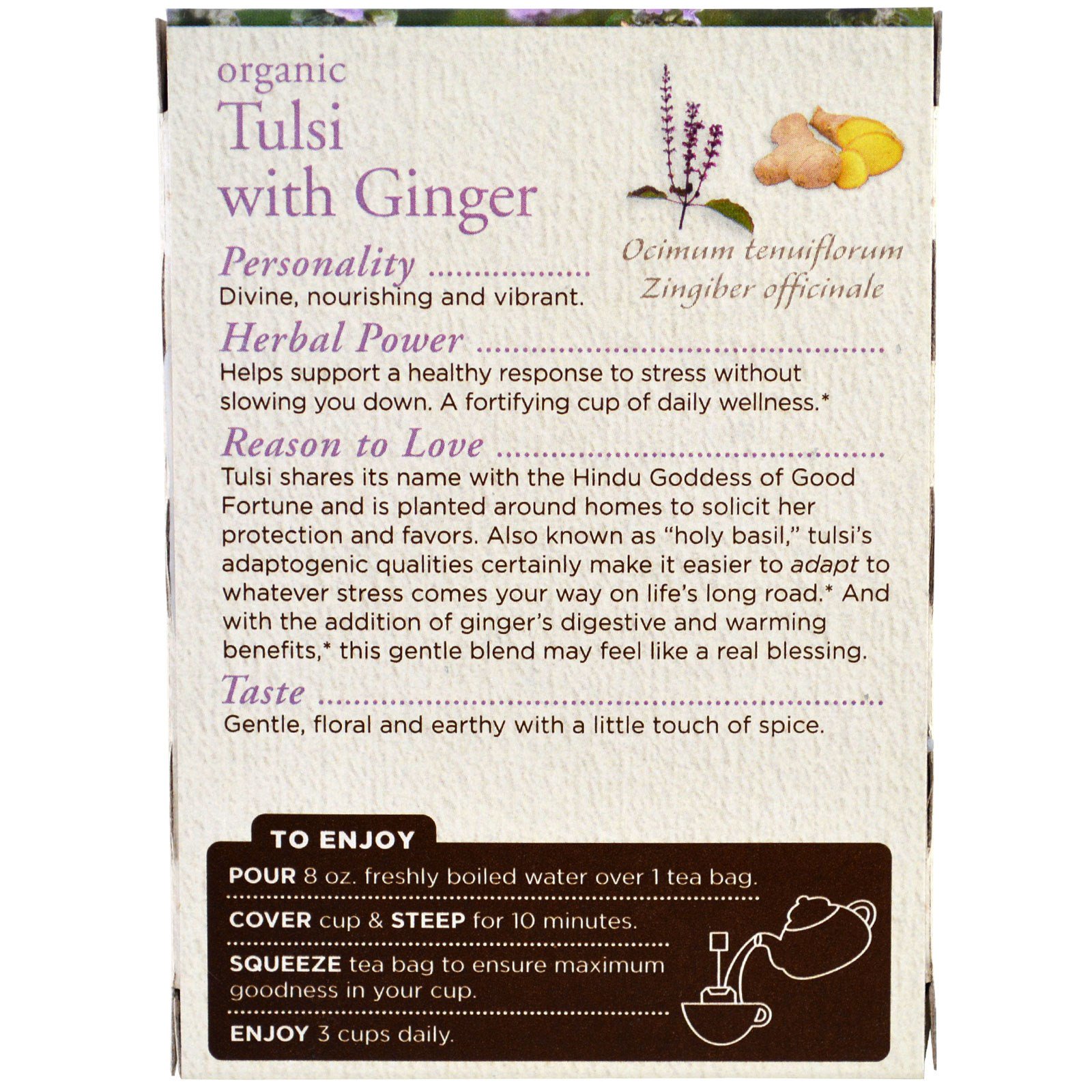 Traditional Medicinals, Tulsi Orgânico com Gengibre, 16 Saquinhos de Chá, 1,13 oz (32 g) - Imagem 3