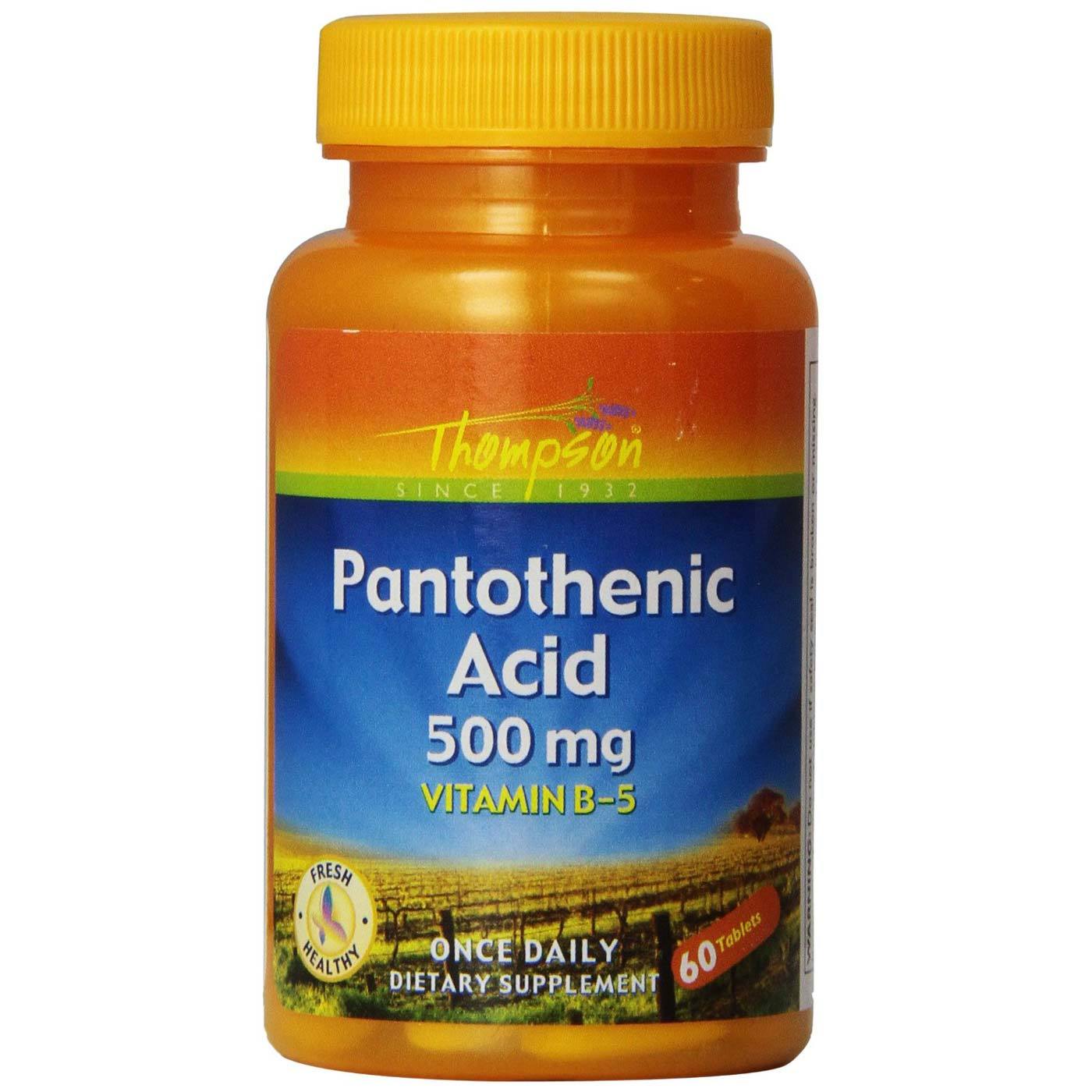 Thompson Ácido pantotênico 500 mg 60 Tabletes