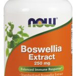 Comprar now foods boswellia extract 250 mg - 120 veg capsules preço no brasil ervas suplemento importado loja 5 online promoção - 8 de agosto de 2022