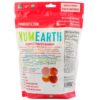 Comprar yumearth, balas orgânicas de frutas organic freshest, 13 oz (368,5 g) preço no brasil mercearia suplemento importado loja 3 online promoção - 1 de maio de 2024