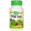 Comprar nature's way wild yam raíz 100 cápsulas preço no brasil ervas suplemento importado loja 1 online promoção - 25 de março de 2023