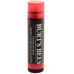 Comprar burt's bees tinted lip balm, vermelho - rose -. 15 oz preço no brasil beleza e saúde suplemento importado loja 5 online promoção - 9 de agosto de 2022