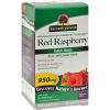 Comprar nature's answer red raspberry leaf - 90 capsules preço no brasil ervas suplemento importado loja 3 online promoção - 11 de agosto de 2022