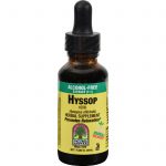 Comprar nature's answer hyssop extract - alcohol-free - 1 oz preço no brasil ervas suplemento importado loja 1 online promoção - 8 de agosto de 2022