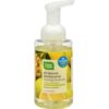 Comprar cleanwell all-natural antibacterial foaming hand wash bergamot ginger - 9. 5 fl oz preço no brasil cuidados pessoas suplemento importado loja 1 online promoção - 2 de maio de 2024