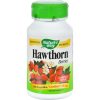 Comprar nature's way hawthorn berries - 510 mg - 100 capsules preço no brasil ervas suplemento importado loja 1 online promoção - 18 de agosto de 2022