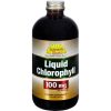 Comprar dynamic health liquid chlorophyll - 100 mg - 16 fl oz preço no brasil ervas suplemento importado loja 3 online promoção - 18 de agosto de 2022