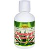 Comprar dynamic health liquid chlorophyll with aloe vera juice spearmint - 16 fl oz preço no brasil ervas suplemento importado loja 5 online promoção - 18 de agosto de 2022