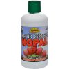 Comprar dynamic health organic certified nopal superfruit nopal - 33. 8 fl oz preço no brasil suplementos suplemento importado loja 3 online promoção - 16 de abril de 2024