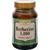 Comprar only natural berberine - 1000 mg - 50 vegetarian capsules preço no brasil suplementos suplemento importado loja 3 online promoção - 14 de abril de 2024