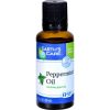 Comprar earth's care essential oil - 100 percent pure - natr - peppermint - 1 fl oz preço no brasil ervas suplemento importado loja 3 online promoção - 18 de agosto de 2022