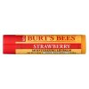 Comprar burts bees - lip balm - strawberry - case of 12 - 1 count preço no brasil cuidados pessoas suplemento importado loja 5 online promoção - 17 de abril de 2024