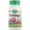 Comprar nature's way hydrangea 100 cap preço no brasil ervas suplemento importado loja 1 online promoção - 6 de fevereiro de 2023